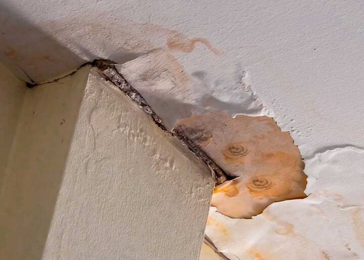 Water-Damage-Mold-Removal-scaled-1 water damage boynton beach